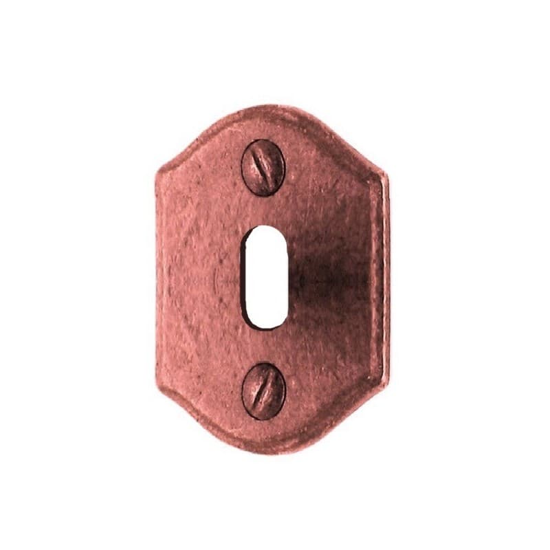 Ensemble poignées brugge chp_fonction_cle_19860__.jpg 1 paire(s) rosace de fonction 69 x 45 mm clé l - rouillé verni - brionne