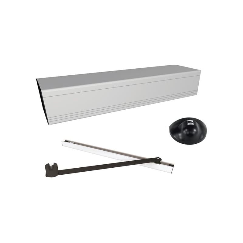 Automatisme pour portes battantes fluo sw 1 kit(s) automatisme pour portes battantes fluo sw à tirer - 300 kg - came france