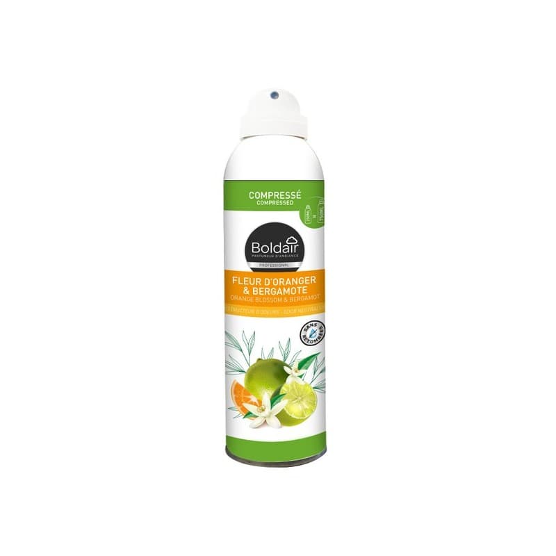 Désodorisant d'intérieur compressé 1 aérosol(s) de 250 millilitre(s) spray 250 ml désodorisant compressé - menthe & aloe vera menthe & aloe vera - bol