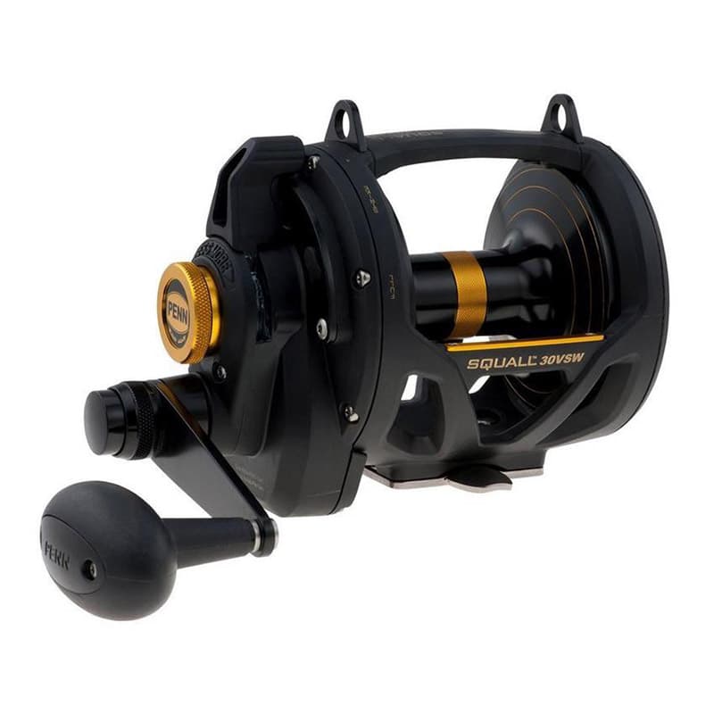 Moulinet Mer Traine PENN Squall Lever Drag 2 Speed 50 VSW