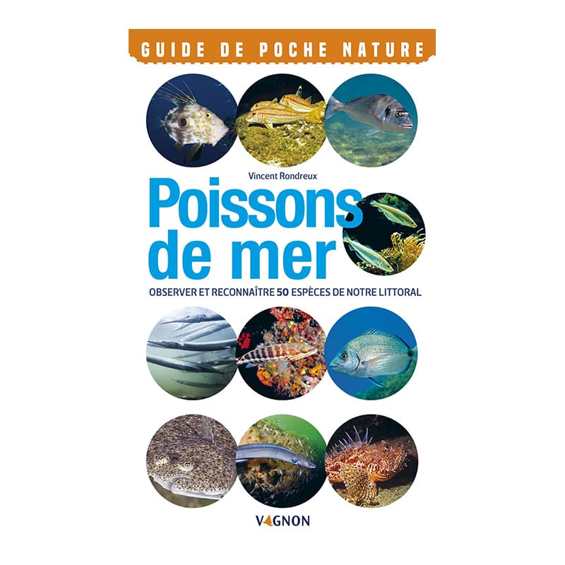 Poissons de mer
