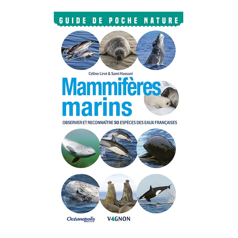 Mammifères Marins