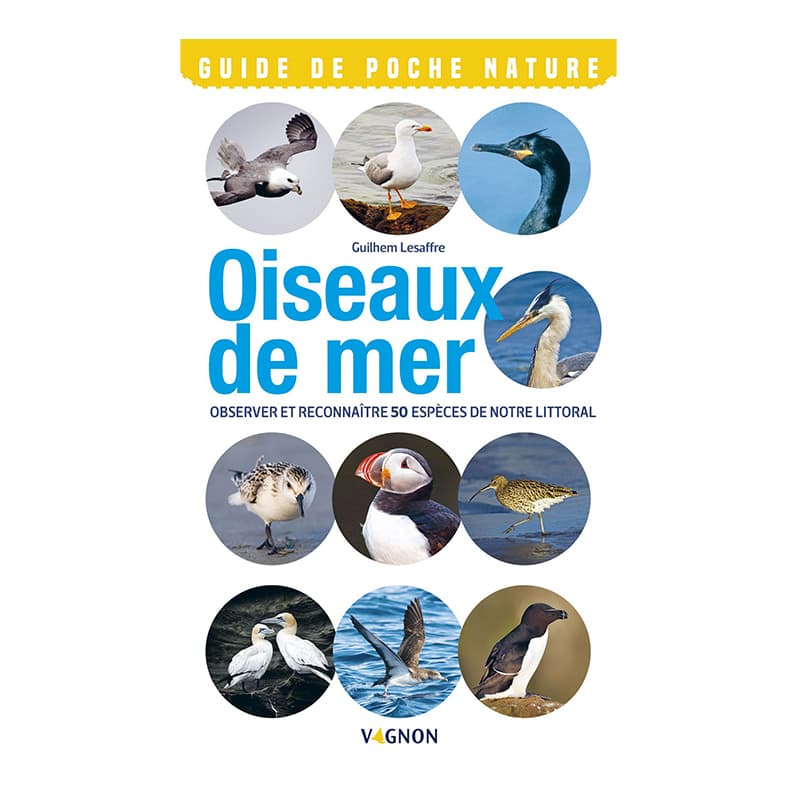 Oiseaux de mer