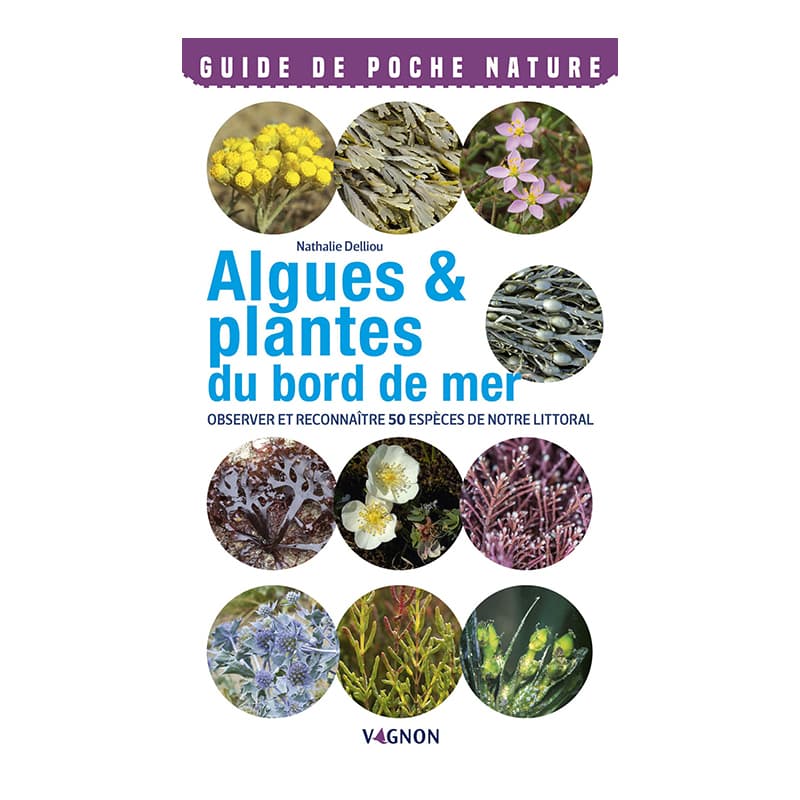 Algues & Plantes du bord de mer