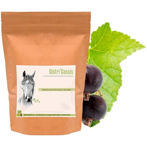 Cassis Cheval - Confort des Articulations -