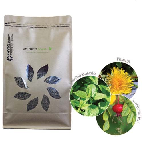 Phyto Forme - Vitalité au naturel - Horsemaster -