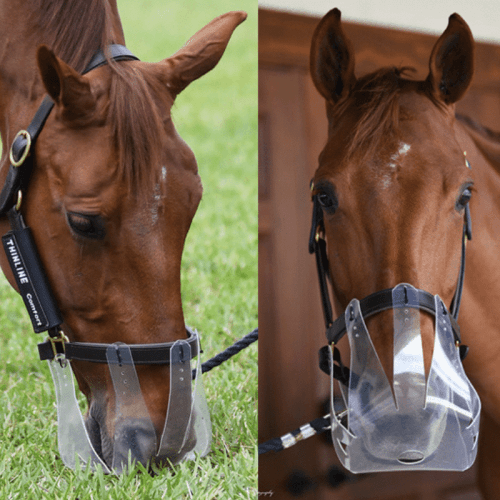 Masque anti-pâturage pour cheval – Contrôle de l’ingestion & prévention de la fourbure -