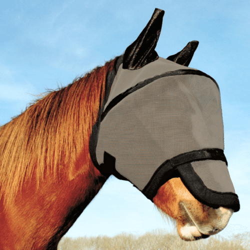 Masque anti-mouches KM Elite Space Dome – Dôme renforcé anti-frottement – Protection UV cheval -