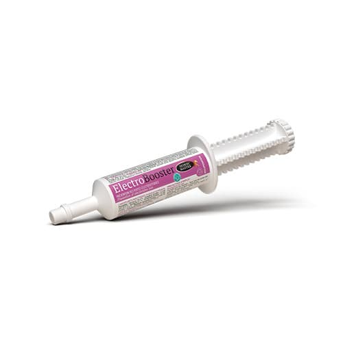 ELECTRO BOOSTER - Pour les efforts longs ou répétés -