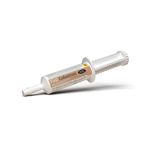 HorseMaster - Foal Colostrum - Défense immunitaire du poulain -