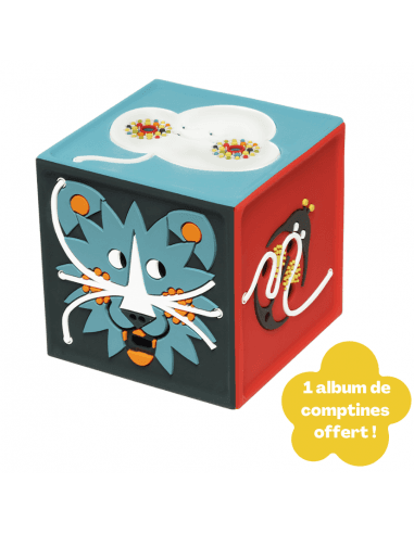 La Conteuse merveilleuse Joyeuse - boîte à histoires