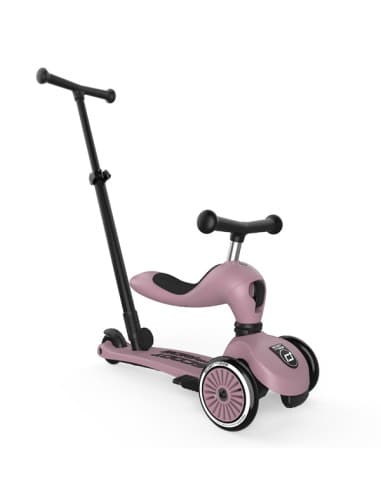 Push and Go - Porteur 2 en 1 évolutif en trottinette 1 à 5 ans Rose Wildberry