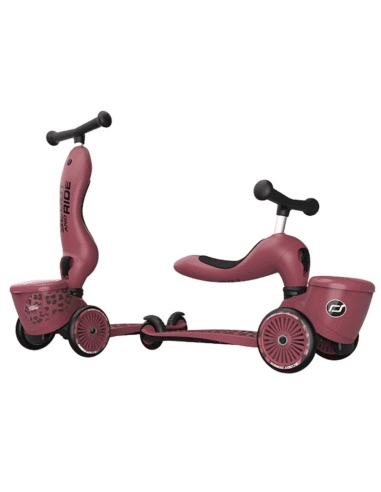 Porteur 2 en 1 évolutif en trottinette 1 à 5 ans Beige Wildcat avec rangement