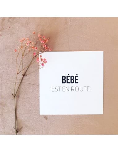 Cartes Ătapes de BĂ©bĂ© - Mixte + carte bonus