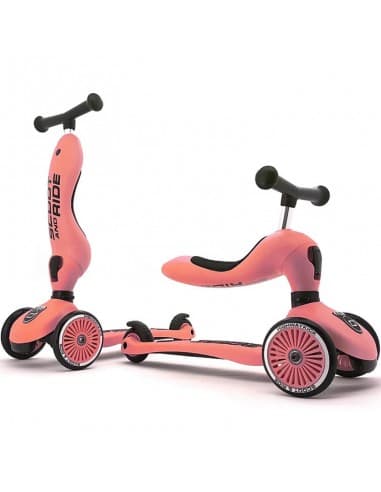 Porteur 2 en 1 Ă©volutif en trottinette 1 Ă 5 ans PĂȘche