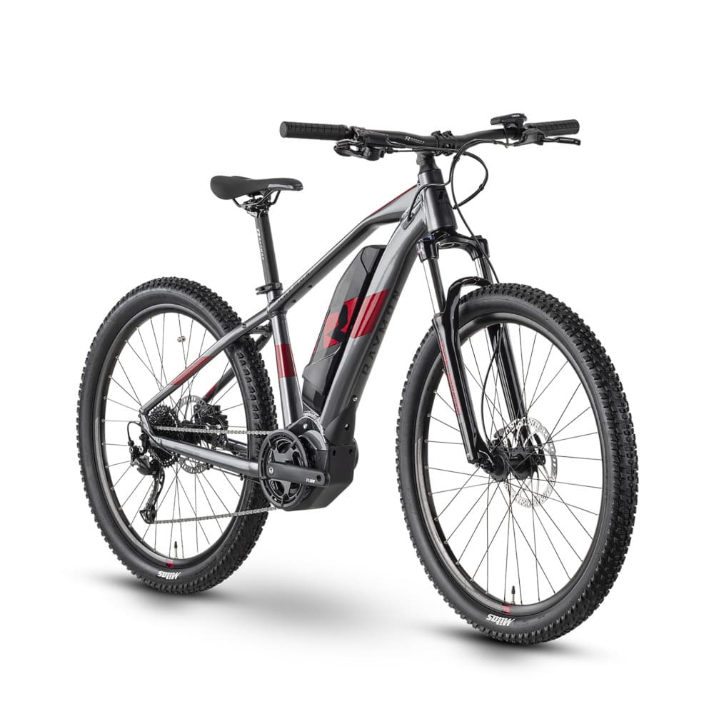 R RAYMON HardRay E 3.0 Elektrofahrrad-Neu