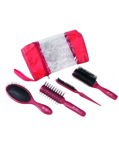 Chi Styling Brushes Stylist Kit - Hair-france