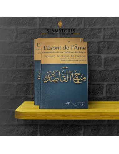 L'esprit de l'âme d'après Al-Ghazali, Ibn Al- Jawzi et Ibn Qudamah - Tawbah