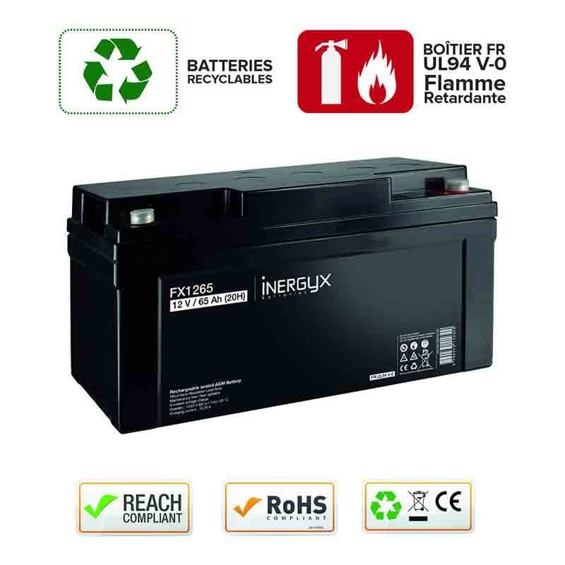 Batterie rechargeable vrla 12v / 65 ah - izyx fx1265