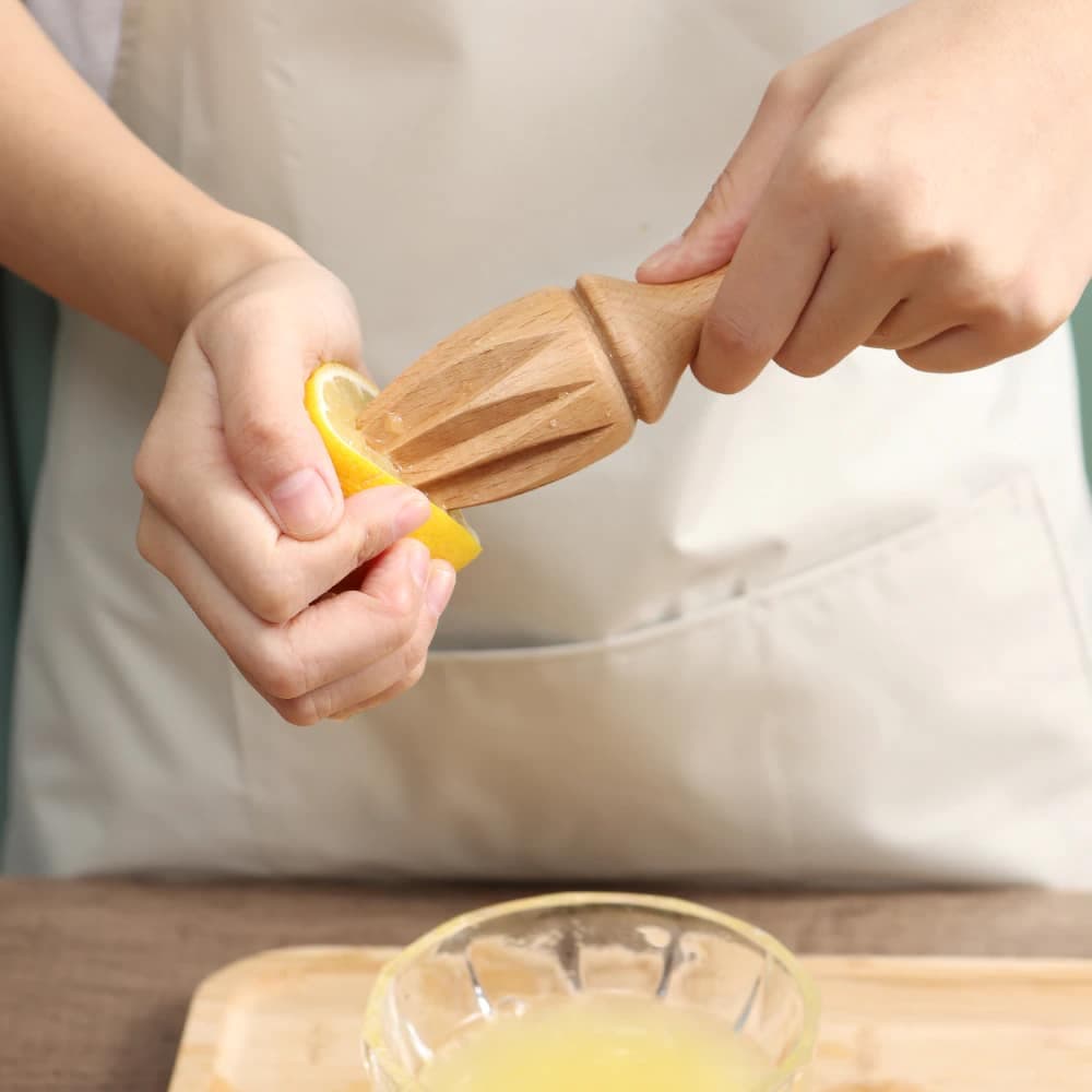 Presse Agrume Manuel Bois