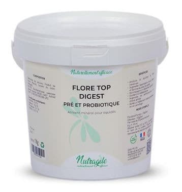 FLORE TOP DIGEST PRE ET PROBIOTIQUE - NUTRAGILE