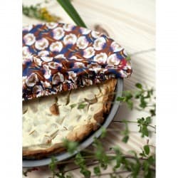 Charlotte à Tarte élastique (5 coloris dispos) Dimeo