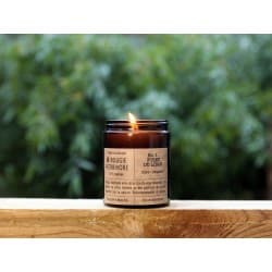 Bougie "ForĂŞt du Liban" - La bougie herbivore Moyenne