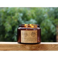 Bougie "Poudre d'Etoiles" - La bougie herbivore Grande (double mèche)