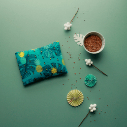 Petite Bouillotte aux graines de lin - Ananas
