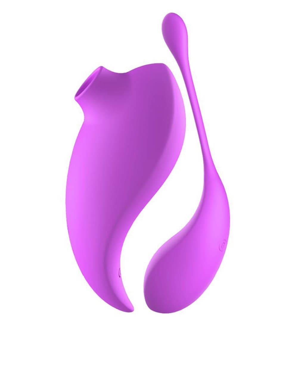 Vibromasseur clitoridien violet avec son œuf vibrant à distance