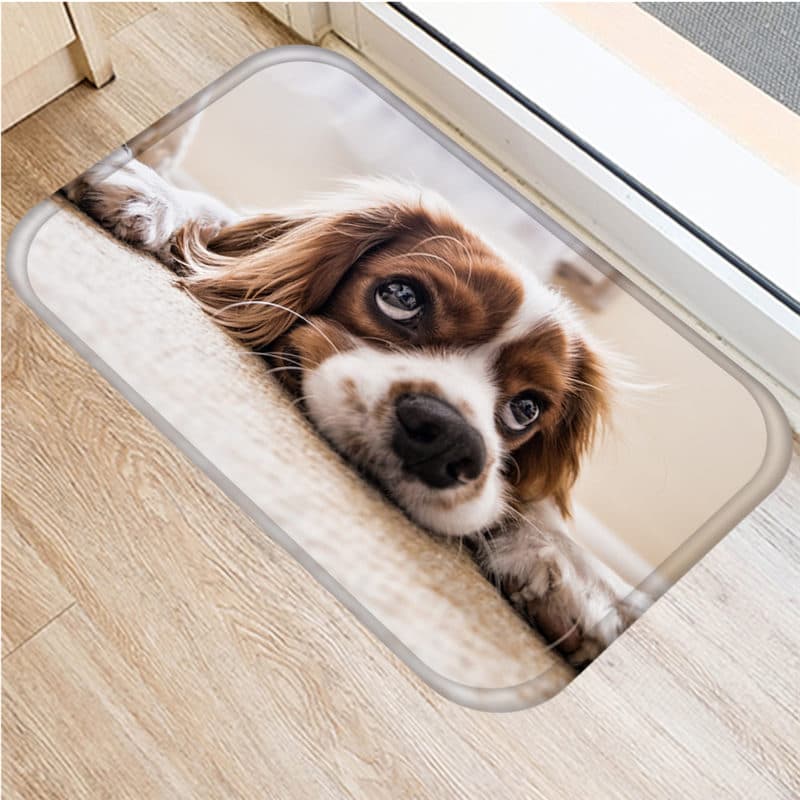 Paillasson intérieur chien qui attend