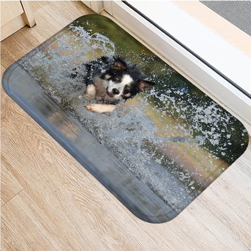 Paillasson intérieur border collie