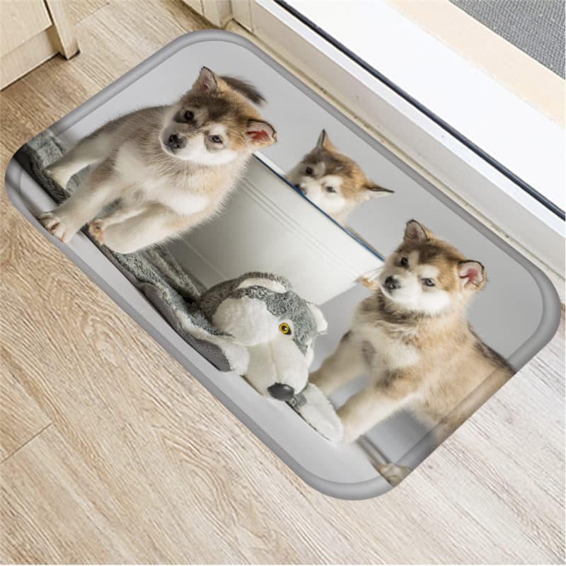 Paillasson intérieur chiots Husky