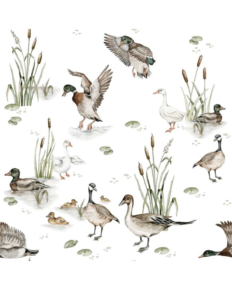 Echantillon Papier peint canards sur un lac