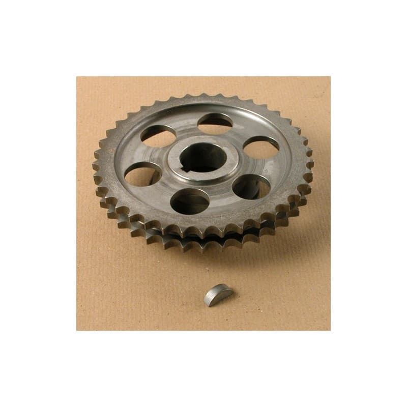 Pignon inférieur de chaine de distribution double