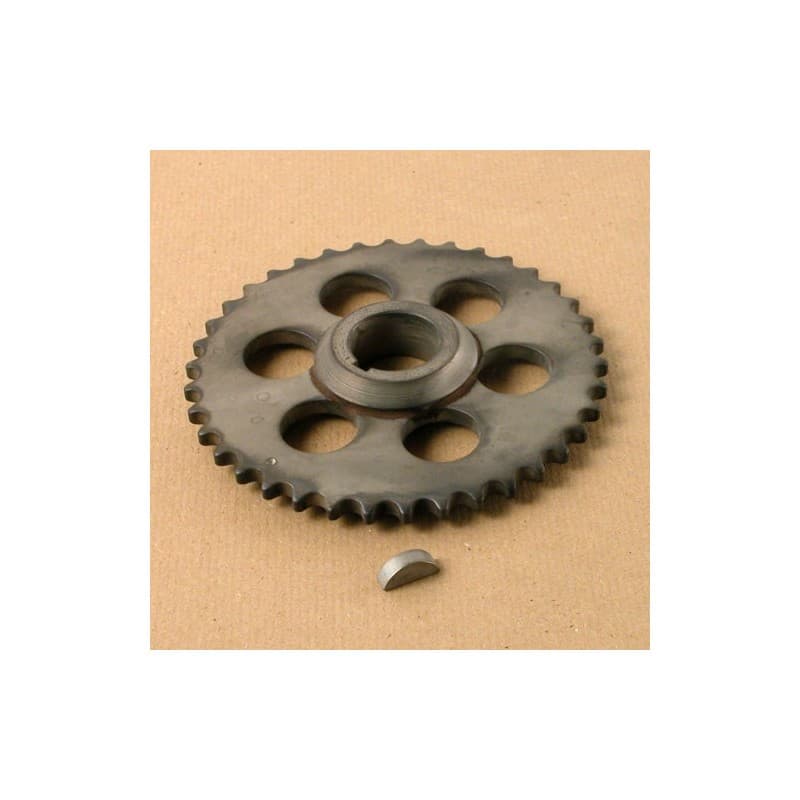 Pignon inférieur de chaine de distribution simple