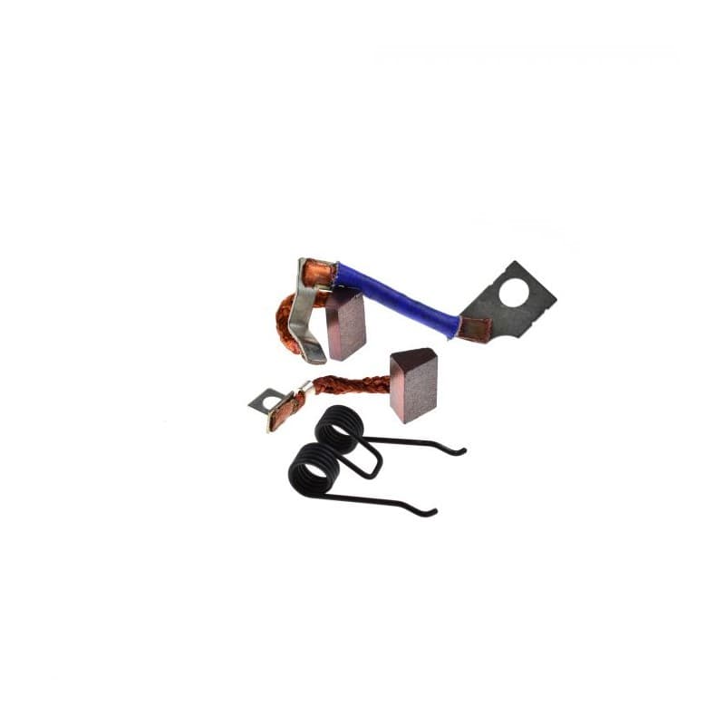 Jeu de balais en charbon A10, R65, R80, R100