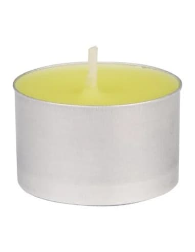 Bougies chauffe-plat Ă la citronnelle Eazyzap (lot de 50)