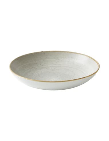 Assiettes coupes rondes Churchill Stonecast Raw Evolve Grey 248mm (lot de 12)