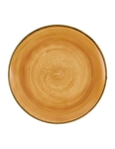 Assiettes avec rebord Churchill Stonecast Tangerine 260mm (Lot de 12)