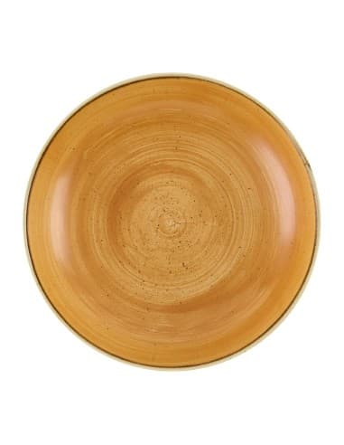 Bols Churchill Stonecast Tangerine 248mm (Lot de 12)