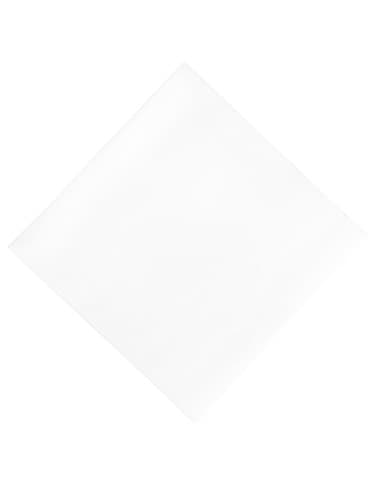 Serviettes déjeuner ouate blanches compostables Duni 400mm (lot de 750)