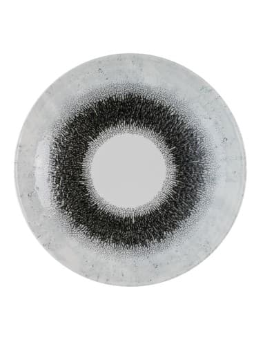 Assiettes coupes rondes Churchill Studio Prints Fusion Black Evolve 247mm (lot de 12)