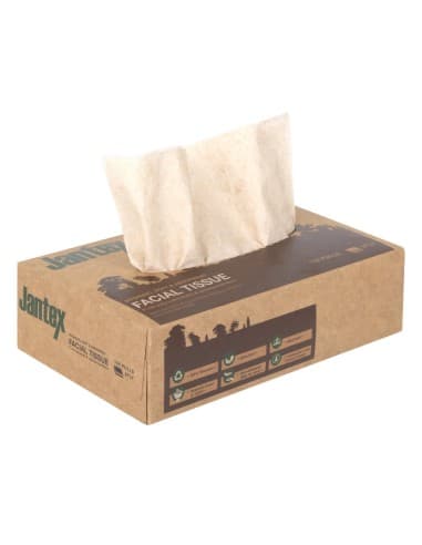 Mouchoirs Jantex Green 100% recyclé 100 feuilles (lot de 36)