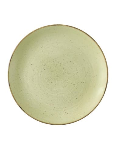 Assiettes avec rebord Churchill Stonecast Raw Green Evolve 260mm (Lot de 12)