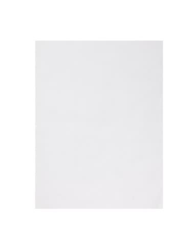 Papier d'emballage burger Fiesta Compostable blanc 250x350mm (lot de 200)