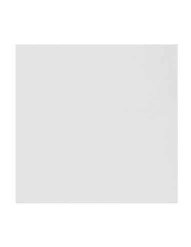 Doublures pour boîtes à pizza Fiesta Compostable 228mm (lot de 200)