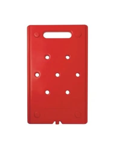 Plaque eutectique chaude Thermo Future Thermobox