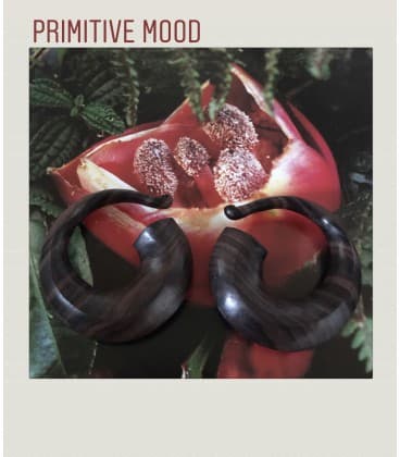 PRIMITIVE MOOD