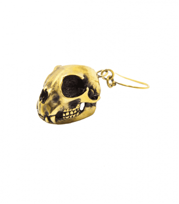 CAT SKULL